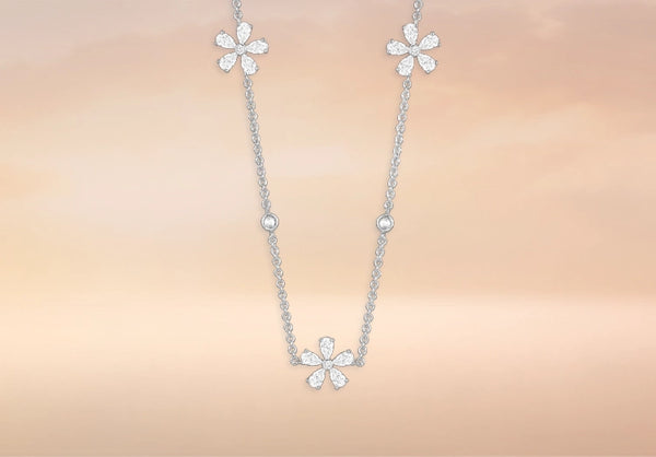 Daisy_Flower