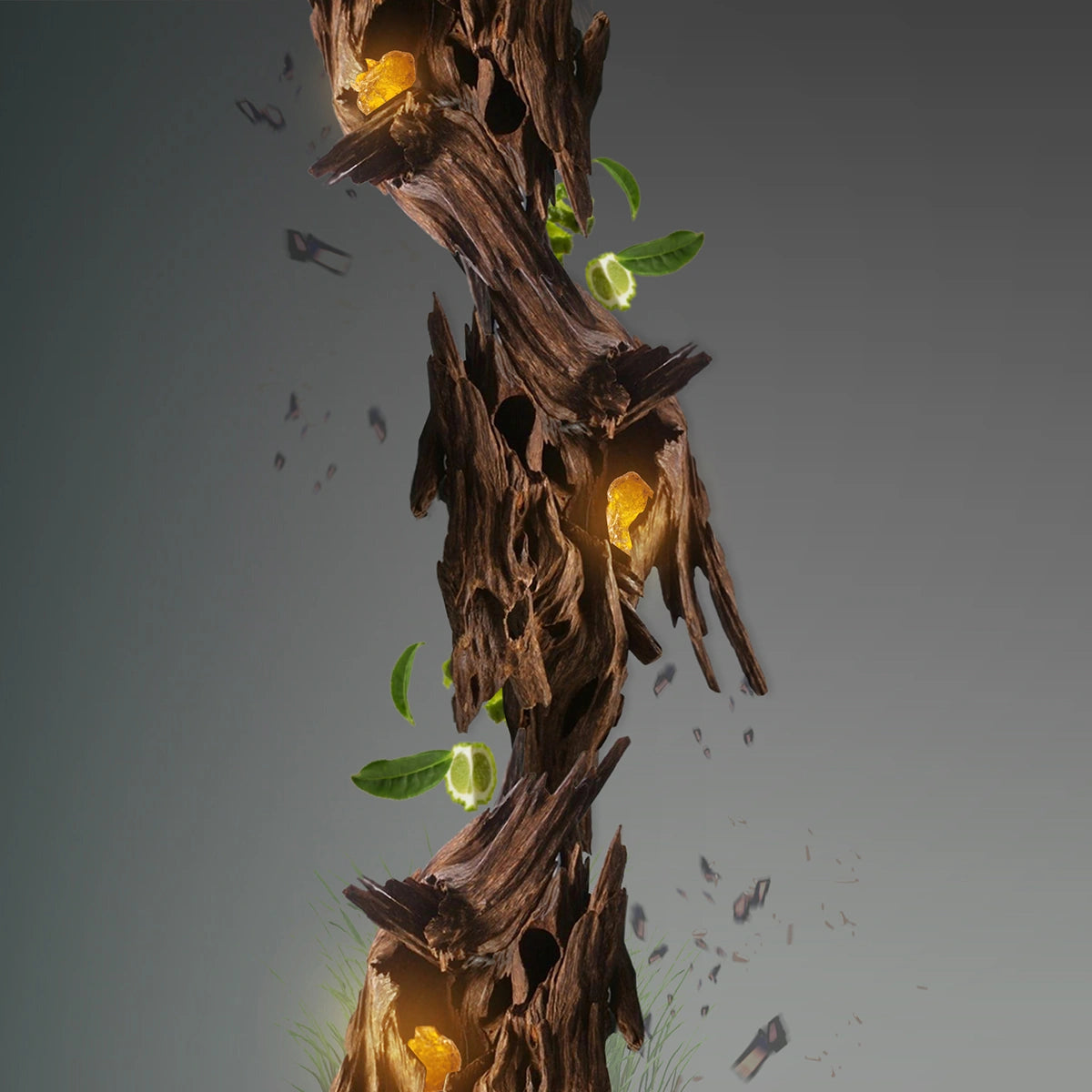 Palazzo Oud - Parfum