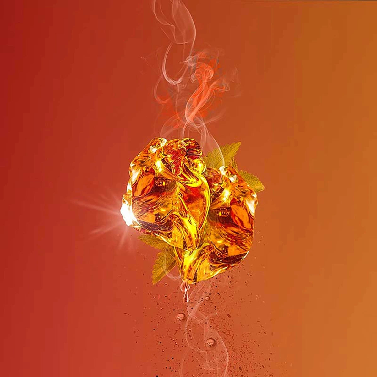 Amber Leather - Parfum